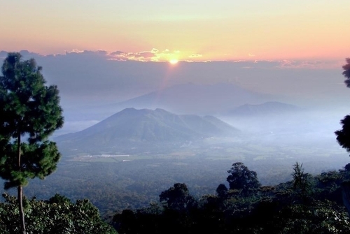 El Salvador Finca Las Mercedes