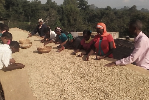 Ethiopia - Guji