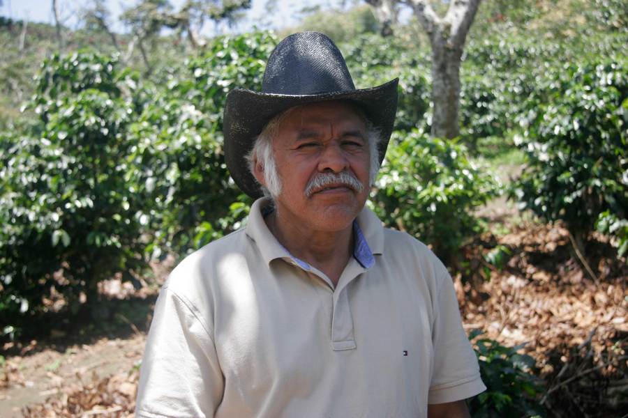 Guatemala Finca Santa Isabel