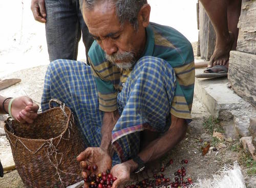 East Timor Eratoi 1