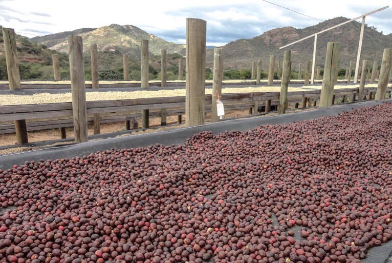 Nicaragua Dipilto Nuevo Segovia