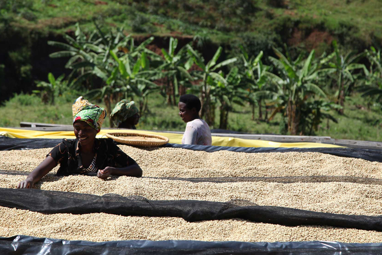 Rwanda - Remera Caracoli