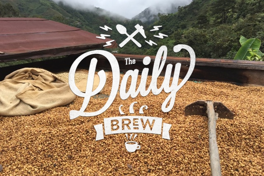 Daily Brew