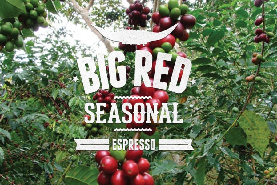 Big Red Seasonal Blend